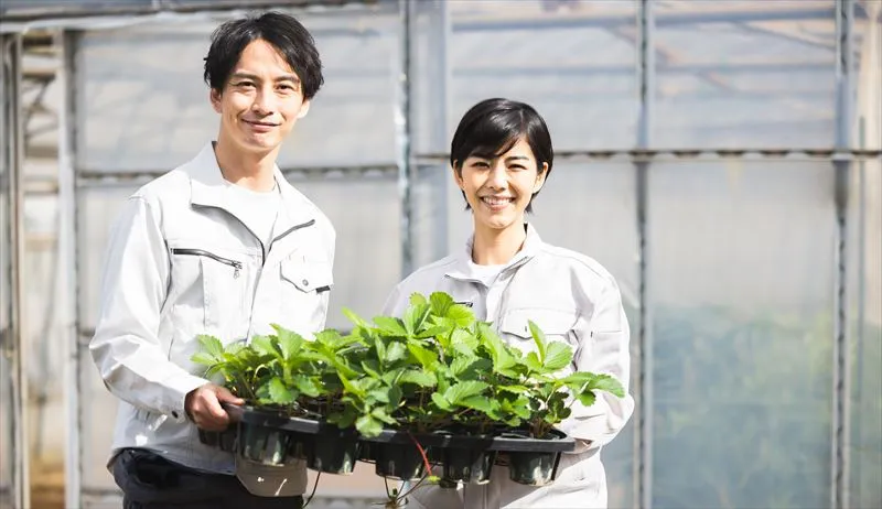 品種改良と遺伝子組み換えの違いは?